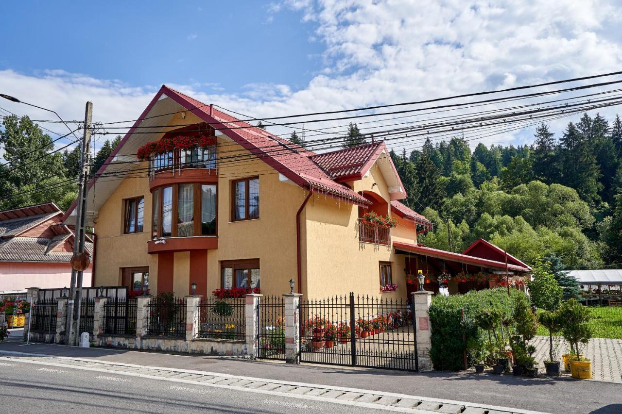 Отель Casa Cu Flori Мойсей Экстерьер фото